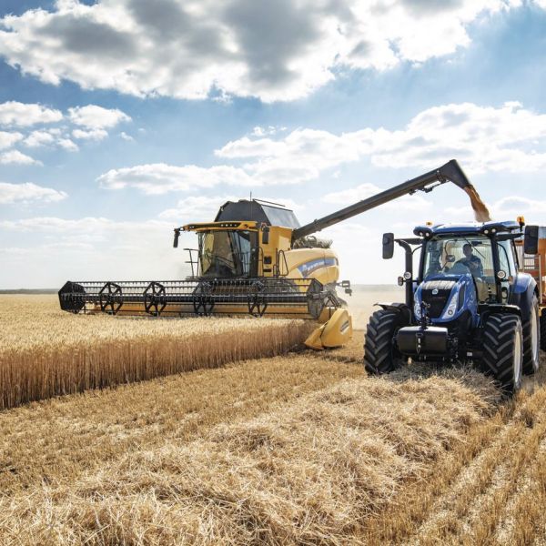 CX8 80 StageV - Keßler 23883 Breitenfelde